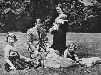 Royal Family as a Happy Group of Dog Lovers, 1937-Michael Chance-Framed Stretched Canvas