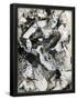 Essential Black