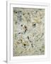 Gramercy White
