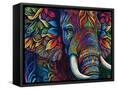 Framed Canvas