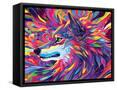 Framed Canvas