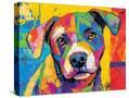 Stretched Canvas