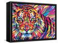 Framed Canvas