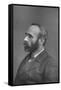 Michael Davitt, 1880-null-Framed Stretched Canvas