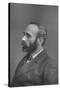 Michael Davitt, 1880-null-Stretched Canvas