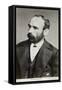 Michael Davitt-null-Framed Stretched Canvas