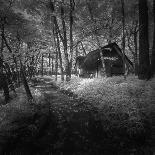 Cabin in the Woods-Michael de Guzman-Photographic Print