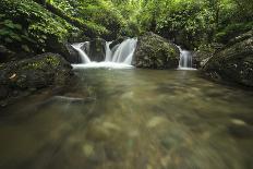 Cabin in the Woods-Michael de Guzman-Photographic Print