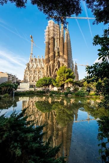 Photographic Print, , large