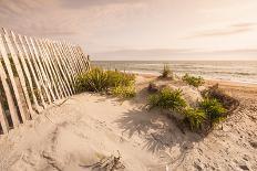 Beach Near Kitty Hawk, Outer Banks, North Carolina, United States of America, North America-Michael DeFreitas-Photographic Print