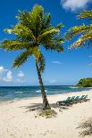 Tres Palmitas Beach, Puerto Rico, West Indies, Caribbean, Central America-Michael DeFreitas-Photographic Print