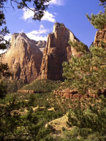 Premium Photographic Print, , large