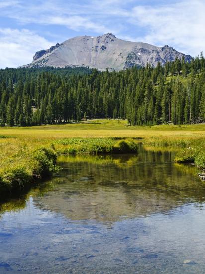 Premium Photographic Print, , large