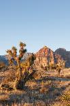 Red Rock Canyon Outside Las Vegas, Nevada, USA-Michael DeFreitas-Photographic Print