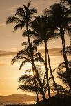 Sunset at Poipu Beach, Kauai, Hawaii-Michael DeFreitas-Photographic Print