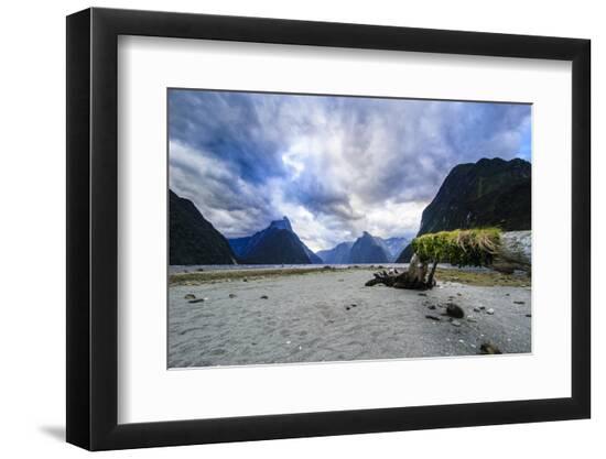 Premium Photographic Print, , large