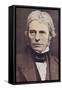 Michael Faraday, English Physicist and Chemist-null-Framed Stretched Canvas