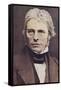 Michael Faraday, English Physicist and Chemist-null-Framed Stretched Canvas