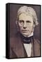 Michael Faraday, English Physicist and Chemist-null-Framed Stretched Canvas