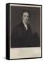 Michael Faraday, English Physicist and Chemist-null-Framed Stretched Canvas