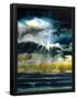 Essential Black