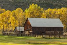 Luscious Landscape-Michael Greene-Giclee Print