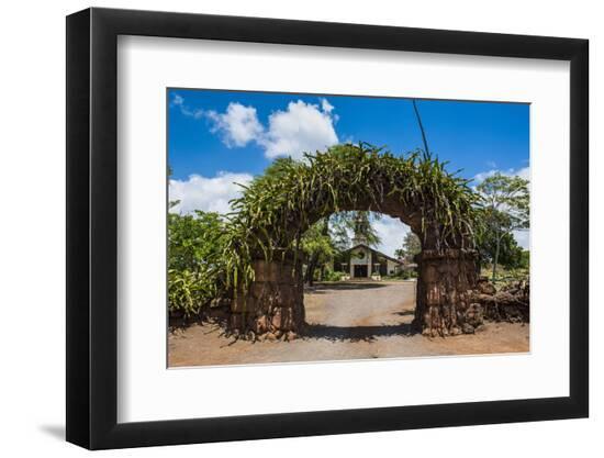 Photographic Print, , large
