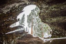 Looking Through A Hole In A Fallen Tree Trunk Out Towards Large Trees In Sequoia NP, CA-Michael Hanson-Framed Photographic Print