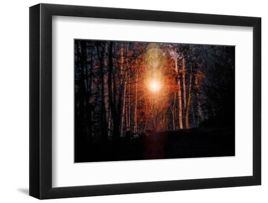 Photographic Print, , large
