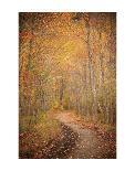 Winding Autumn Path-Michael Hudson-Art Print