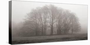 Morning View-Michael Iacobellis-Framed Giclee Print