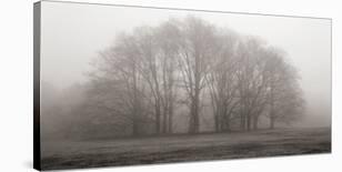 Morning View-Michael Iacobellis-Framed Giclee Print