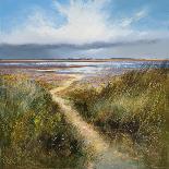 Seaside Path-Michael J^ Sanders-Stretched Canvas