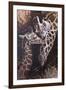 Michael Jackson 28-Michael Jackson-Framed Premium Giclee Print