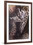 Michael Jackson 28-Michael Jackson-Framed Giclee Print