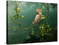 Stretched Canvas