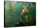Stretched Canvas