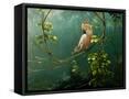 Canvas Black