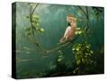 Stretched Canvas