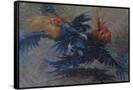 Canvas Black