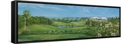 Framed Canvas