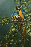 Buffons Macaws-Michael Jackson-Giclee Print