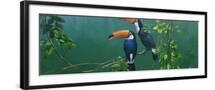 Black Frame