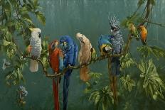 Buffons Macaws-Michael Jackson-Giclee Print