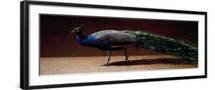 Black Frame