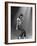 Michael Jackson-null-Framed Premium Photographic Print