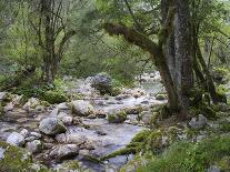 Waterfalls in the Sunik water grove, Lepenatal, Triglav national park, Julian Alps, Slovenia-Michael Jaeschke-Photographic Print