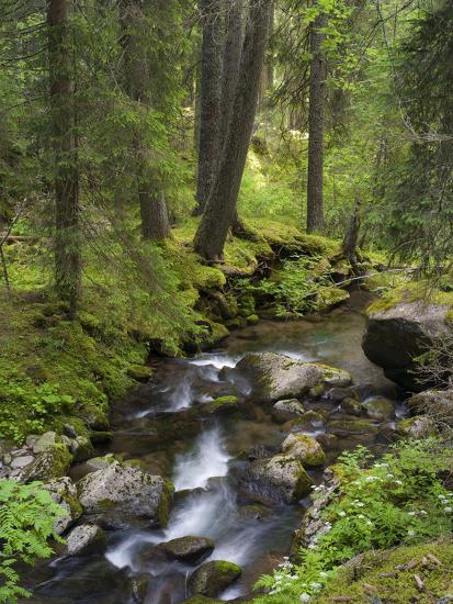 Premium Photographic Print, , large