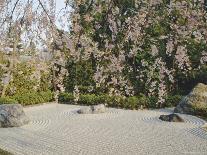 Raked Stone Garden, Taizo-In Temple, Kyoto, Honshu, Japan-Michael Jenner-Photographic Print