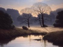 Nature's Early Morning Mist-Michael John Hill-Stretched Canvas